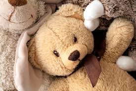 42 000 teddy bear pictures