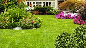 Search a wide range of information from across the web with fastsearchresults.com Simply Green Lawn Service Inc Lawncare Leesburg Florida