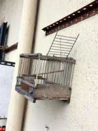 Risparmiando il trasporto, queste trappole per uccelli vivi sono facili da piegare e salvaspazio. Trappole Sul Balcone Blitz In Un Appartamento Foto