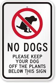 Dog Off The Plants Sign No Dogs Signs