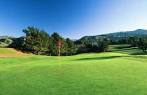 Cypress at Sunol Valley Golf Course in Sunol, California, USA ...