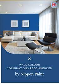 Hall Colour Combination Ideas