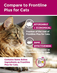 Zoguard Plus For Cats