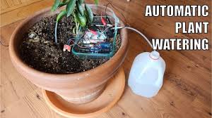 Automatically Water Your Plants