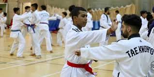 hadri taekwondo poplar union