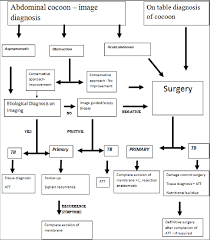 Flow Chart For Diagnosis And Management Of Abdominal Cocoon