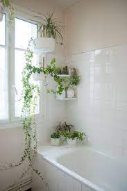 130 Plants Bathroom Ideas Plants