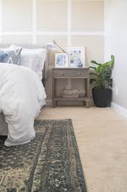 the carpet with petproof