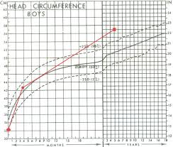 The Value Of Head Circumference Measurements After 36 Months