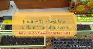 finding the best way to plant vegetable