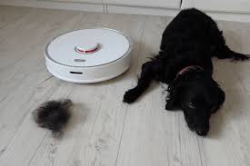 the 6 best robot vacuums for pet hair