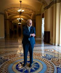 November 23, 1950, in brooklyn, new york) is a democratic member of the united states senate from new york. Chuck Schumer Looks To Bring Biden S Vision To Life The New York Times