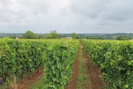 Chateau Franc-Laporte - Photo de Chateau Franc Laporte, Saint-Christophe-des-Bardes - Tripadvisor