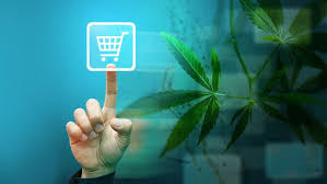Check spelling or type a new query. What Are The Steps To Order The Weed Online And Is It Legal