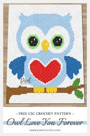 10 Owl Blanket Crochet Patterns