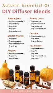 Here are 11 ways to use this sweet and tangy place the blend into your diffuser according to instructions. Essential Oil Blends For Fall 6 Diy Autumn Diffuser Blend Recipes
