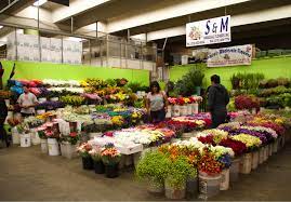 Maybe you would like to learn more about one of these? S M Wholesale Flowers Inc Dba Ramiro S Wholesale Flowers Southern California Flower Market