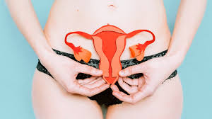 For more related videos, visit. Female Reproductive Organs Anatomy And Function