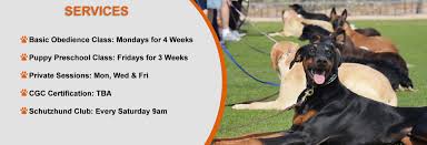 Post ads for free with pics. Dog Training Medford Oregon Puppy Training Classes Dog Training Classes