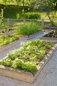 How To Prepare Raised Beds For Planting