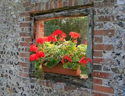 File Window In Garden Wall School Hill