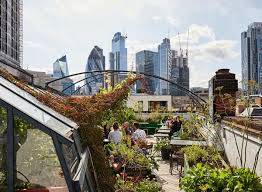 48 best rooftop bars london right now