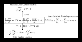 loz covariant schrödinger equation