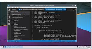 running visual studio code on linux