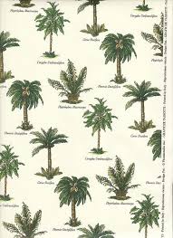 Palm Tree Varieties In 2019 Palm Trees Palm Botanical Prints