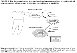Recommendations For Using Fluoride To Prevent And Control