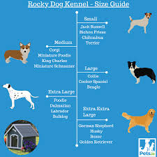 rocky dog kennel size guide pets ie
