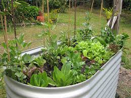 Raised Garden Beds Pros And Cons
