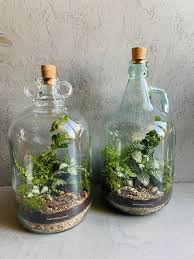 Demijohn Bottle Terrarium By Glass