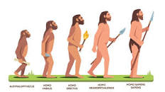 Image result for homo sapiens sapiens