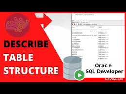 oracle sql tutorial describe table