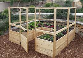 8x8 Raised Garden Bed With Deer Fence
