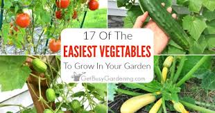 17 Easy Vegetables To Grow For Beginner