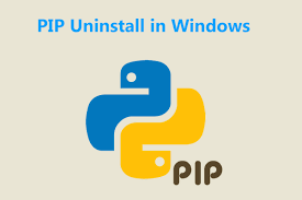 pip uninstall all python packages in