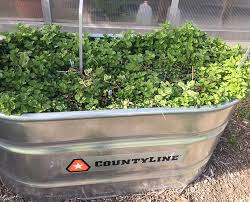 Container Gardening Lake Metroparks