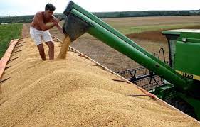 Colheita de soja no Brasil vai a 88% da área cultivada, diz AgRural
