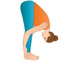 standing yoga poses pose directory