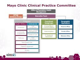 Mayo Clinic Stakeholders College Paper Sample