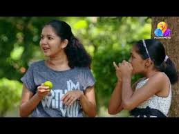 The sitcom drama revolves around the family of balachandran, his wife neelima, their four kids vishnu, lakshmi, keshav, shivani and neelima's brother sreekuttan. Uppum Mulakum Flowers Ep 836 Youtube