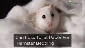 Use Toilet Paper For Hamster Bedding