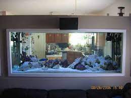 Large tank home locations? - Reef Central Online Community | Aquarium fish  tank, Aquarium, Cool fish tanks gambar png