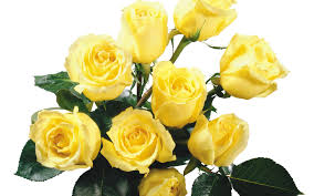 Resultado de imagen para gabriel garcia marquez y las rosas amarillas