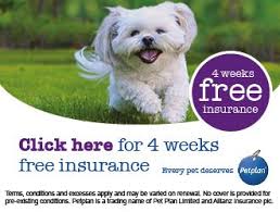 Check spelling or type a new query. Free Pet Insurance
