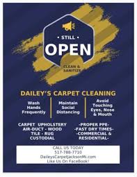 dailey s carpet cleaning