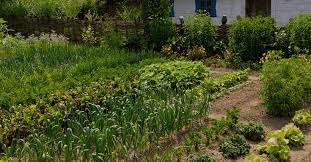 Permaculture Gardens