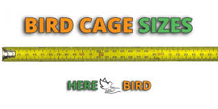 Bird Cage Sizes For Parakeets Lovebirds Macaws Conures